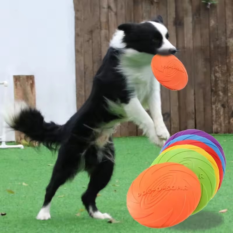 لعبة طبق طائر تفاعلية من السيل - مراجعة Flying Disc Dog Training Toy وسعره