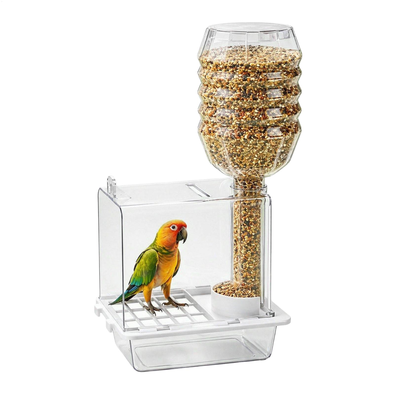 موزع طعام أوتوماتيكي للطيور، م - مراجعة Pet Feeders وسعره