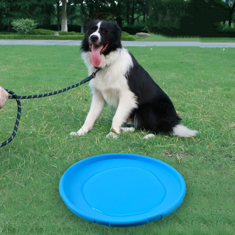 لعبة الصحن الطائر من السيليكون - مراجعة Indestructible Dog Chew Toy وسعره