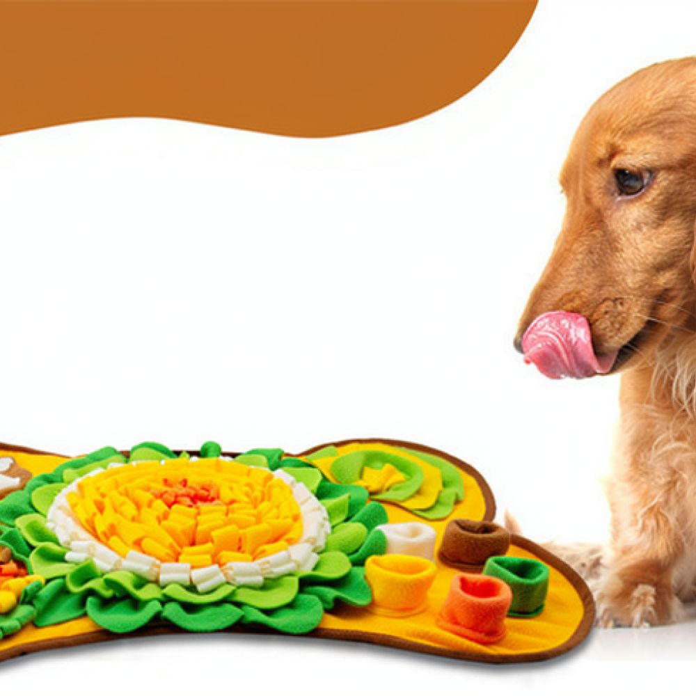 حصيرة استنشاق للكلاب بتصميم عظ - مراجعة Dog Puzzle Feeder Toy وسعره